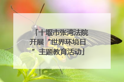 十堰市张湾法院开展“世界环境日”主题教育活动