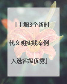 十堰3个新时代文明实践案例入选省级优秀