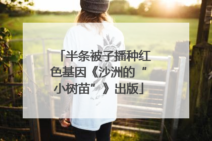 半条被子播种红色基因《沙洲的“小树苗”》出版