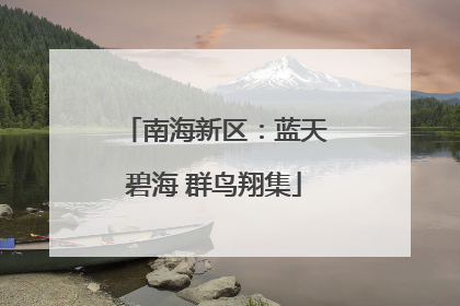 南海新区：蓝天碧海 群鸟翔集