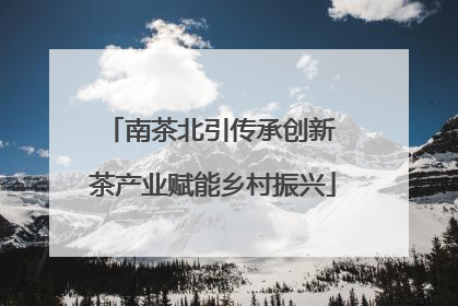 南茶北引传承创新 茶产业赋能乡村振兴