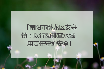 南阳市卧龙区安皋镇：以行动排查水域 用责任守护安全
