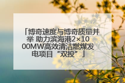 博奇速度与博奇质量并举 助力滨海港2×1000MW高效清洁燃煤发电项目“双投”
