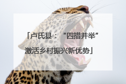 卢氏县：“四措并举”激活乡村振兴新优势