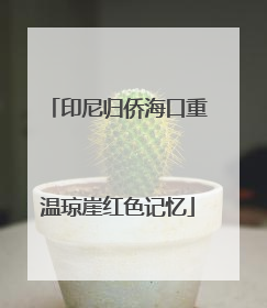 印尼归侨海口重温琼崖红色记忆