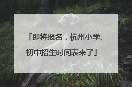 即将报名，杭州小学、初中招生时间表来了