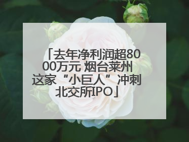 去年净利润超8000万元 烟台莱州这家“小巨人”冲刺北交所IPO