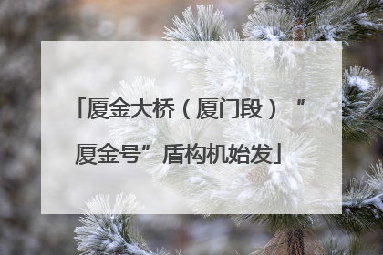 厦金大桥（厦门段）“厦金号”盾构机始发