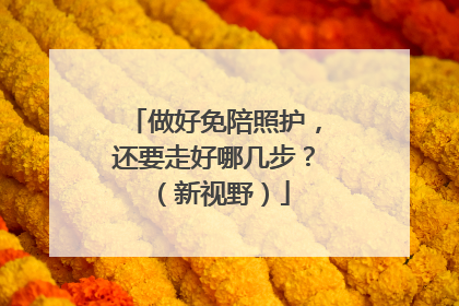 做好免陪照护，还要走好哪几步？（新视野）