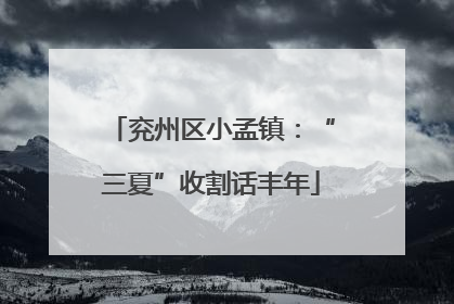 兖州区小孟镇：“三夏”收割话丰年