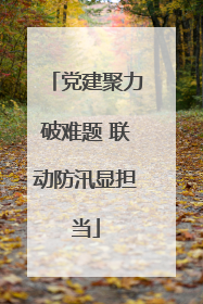 党建聚力破难题 联动防汛显担当