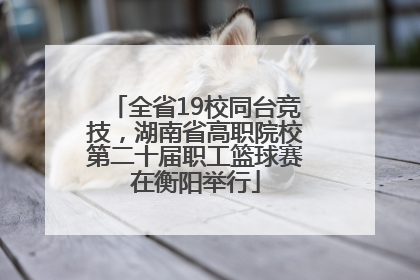 全省19校同台竞技，湖南省高职院校第二十届职工篮球赛在衡阳举行