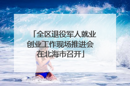 全区退役军人就业创业工作现场推进会在北海市召开