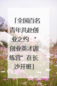 全国百名青年共赴创业之约 “创业英才训练营”在长沙开班
