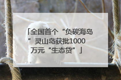 全国首个“负碳海岛”灵山岛获批1000万元“生态贷”