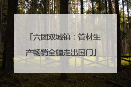 六团双城镇：管材生产畅销全疆走出国门