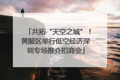 共拓“天空之城”！黄陂区举行低空经济深圳专场推介招商会