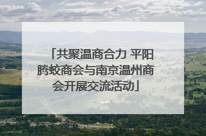 共聚温商合力 平阳腾蛟商会与南京温州商会开展交流活动