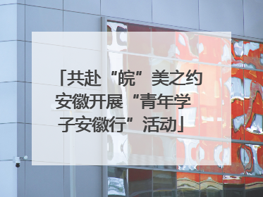 共赴“皖”美之约 安徽开展“青年学子安徽行”活动