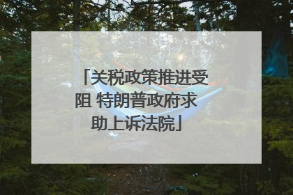 关税政策推进受阻 特朗普政府求助上诉法院