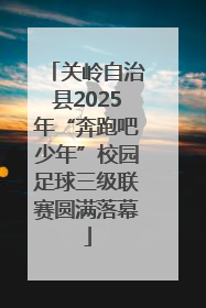 关岭自治县2025年“奔跑吧少年”校园足球三级联赛圆满落幕