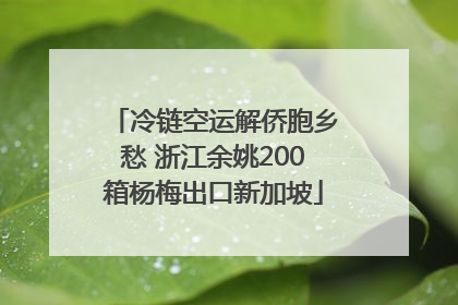 冷链空运解侨胞乡愁 浙江余姚200箱杨梅出口新加坡