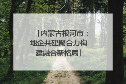 内蒙古根河市：地企共建聚合力构建融合新格局