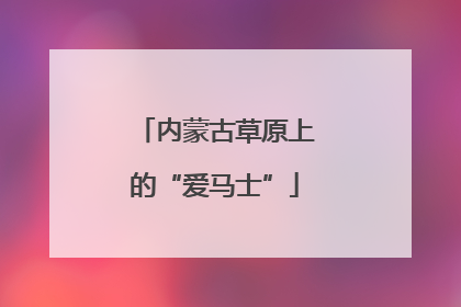 内蒙古草原上的“爱马士”