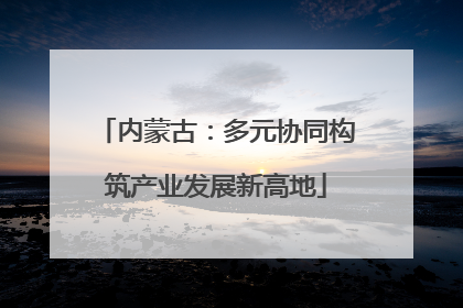 内蒙古：多元协同构筑产业发展新高地
