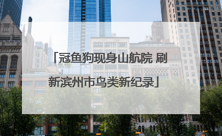 冠鱼狗现身山航院 刷新滨州市鸟类新纪录