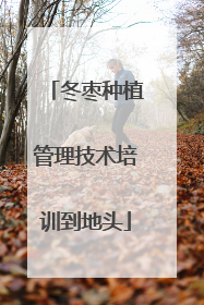 冬枣种植管理技术培训到地头