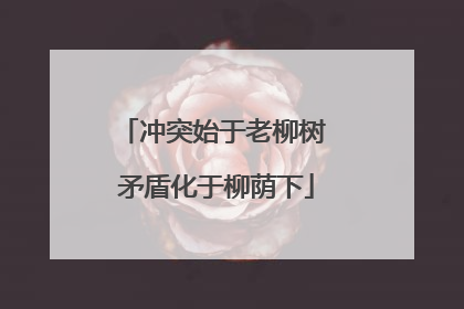 冲突始于老柳树 矛盾化于柳荫下