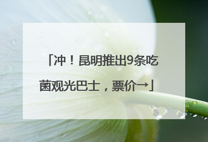 冲！昆明推出9条吃菌观光巴士，票价→