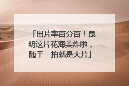 出片率百分百！昆明这片花海美炸啦，随手一拍就是大片