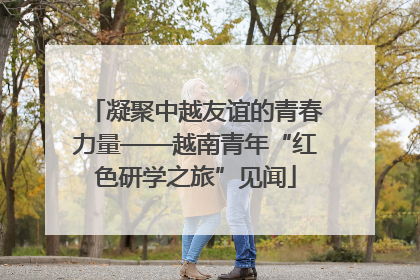 凝聚中越友谊的青春力量——越南青年“红色研学之旅”见闻