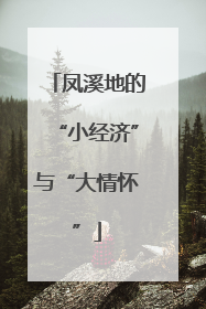 凤溪地的“小经济”与“大情怀”