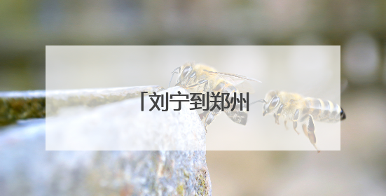 刘宁到郑州经开区调研
