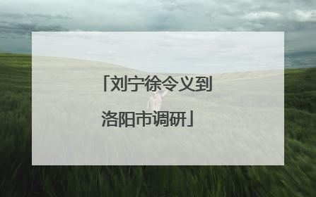 刘宁徐令义到洛阳市调研