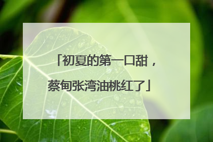 初夏的第一口甜，蔡甸张湾油桃红了