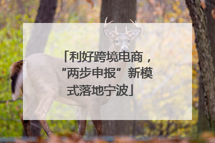 利好跨境电商，“两步申报”新模式落地宁波