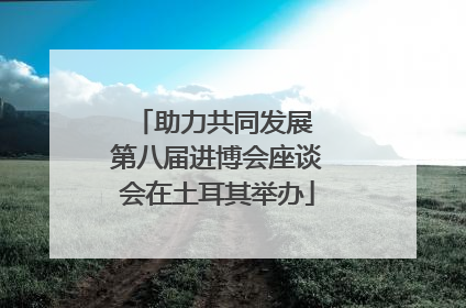 助力共同发展 第八届进博会座谈会在土耳其举办