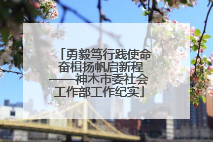勇毅笃行践使命 奋楫扬帆启新程——神木市委社会工作部工作纪实