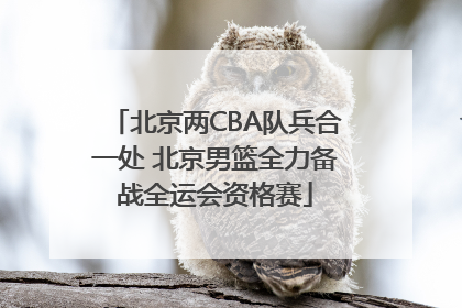 北京两CBA队兵合一处 北京男篮全力备战全运会资格赛