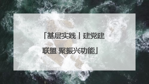基层实践丨建党建联盟 聚振兴功能
