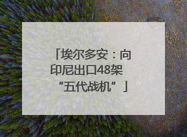 埃尔多安：向印尼出口48架“五代战机”