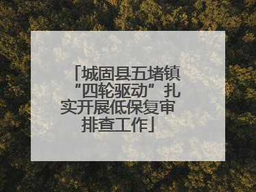 城固县五堵镇“四轮驱动”扎实开展低保复审排查工作