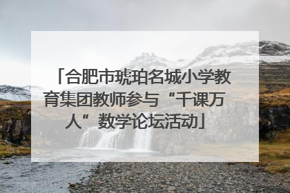 合肥市琥珀名城小学教育集团教师参与“千课万人”数学论坛活动