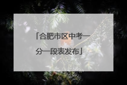 合肥市区中考一分一段表发布