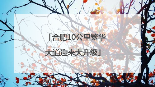 合肥10公里繁华大道迎来大升级