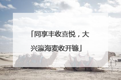 同享丰收喜悦，大兴瀛海麦收开镰